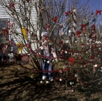 31_01maine-30.jpg