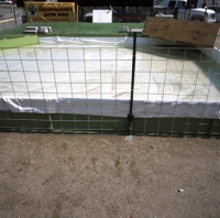 31_10gator.jpg